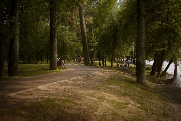 Comment les dispositifs portables influencent-ils la gestion de la santé ?